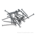 Common Nails polished & galvanized common nail Manufactory